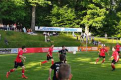 IMG_20220602_184623