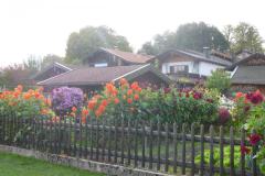 P1010389