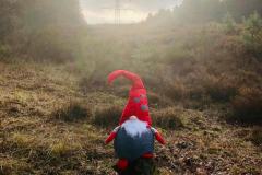 IMG-20201223-WA0034