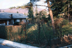 weissenbrunndamalsheute_24