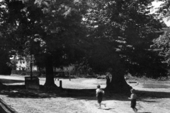 weissenbrunndamalsheute_29