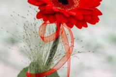 Festabend70_016