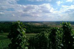 2016_Bullenheim42a