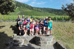 2016_Bullenheim44