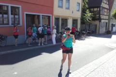 2016_Bullenheim50