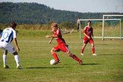 2012_Kleinsendelbach6