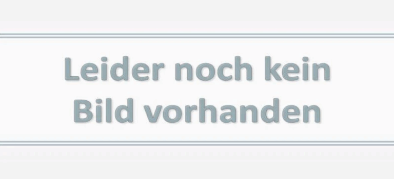 Von den Neuwahlen gibt es keine Bilder, ein Foto der neuen Abteilungsleitung wird noch gemacht